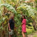Belle Martinique