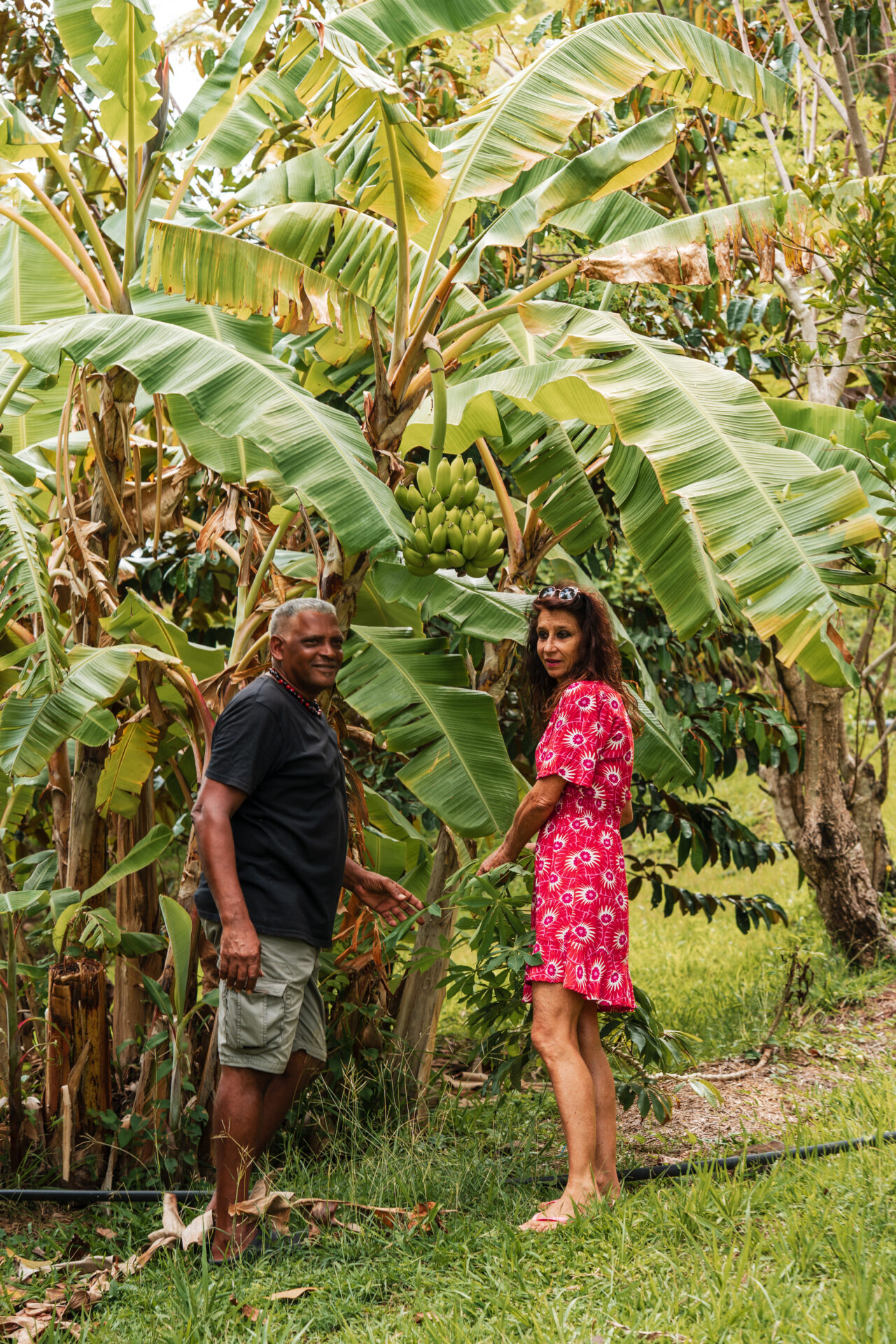 Belle Martinique