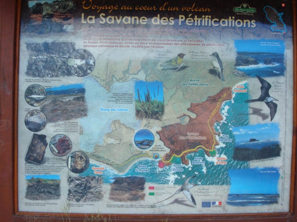 carte-rando-savane-petrifications