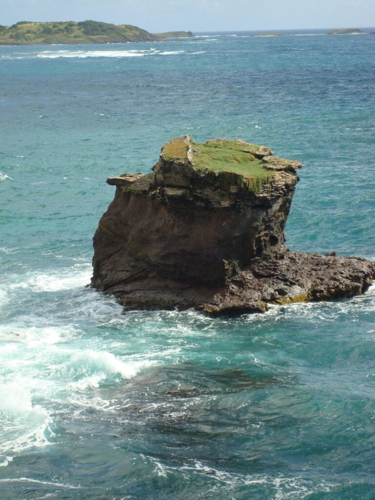 martinique-sainte-anne-savane-petrifications