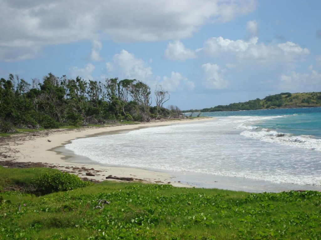 martinique-savane-petrifications