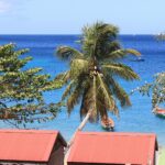 Belle Martinique
