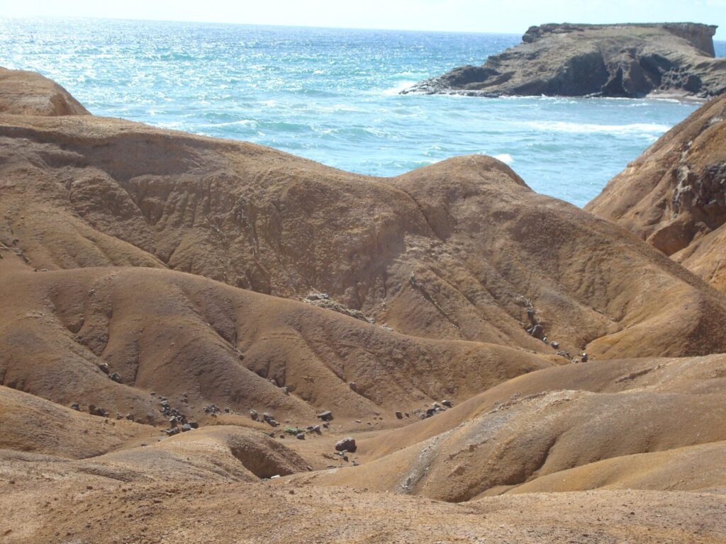 randonnee-savane-des-petrifications