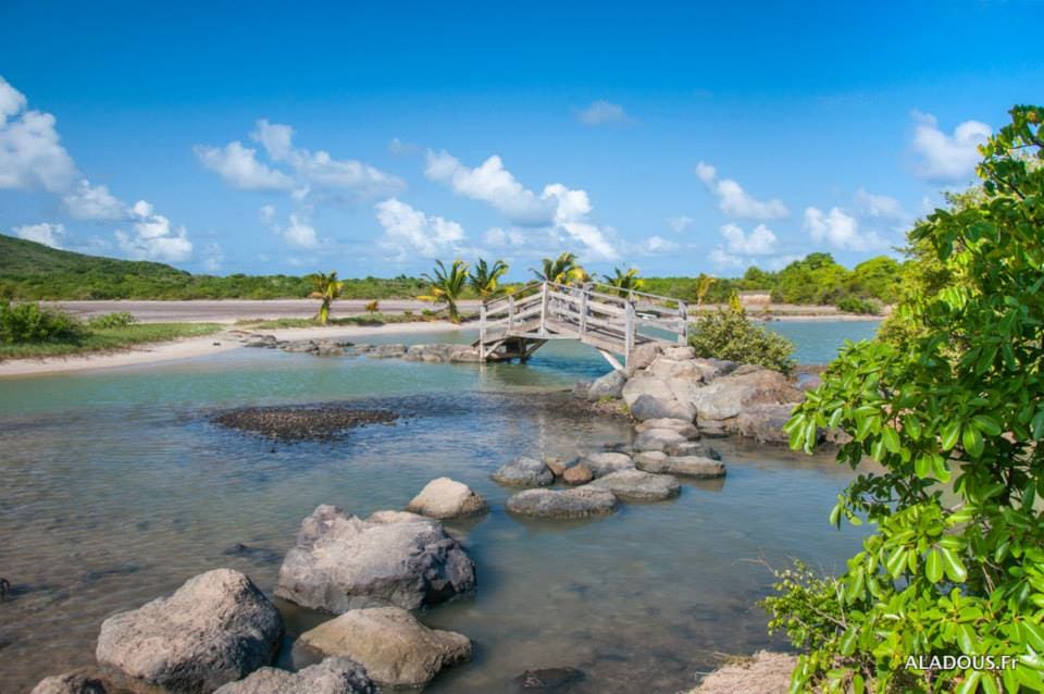 savane-des-petrifications-martinique