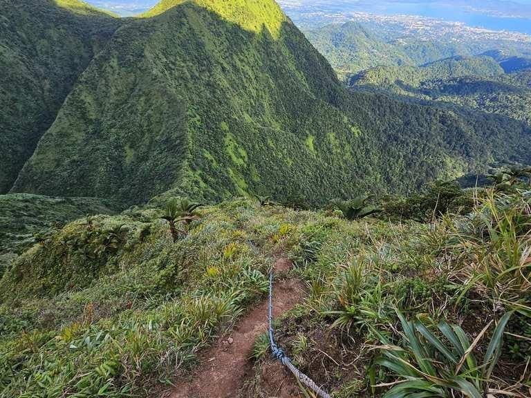 Randonnee-trace-des-pitons-du-carbet-2