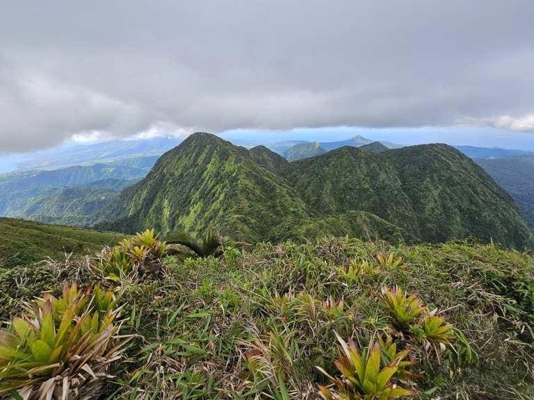 Randonnee-trace-des-pitons-du-carbet-3