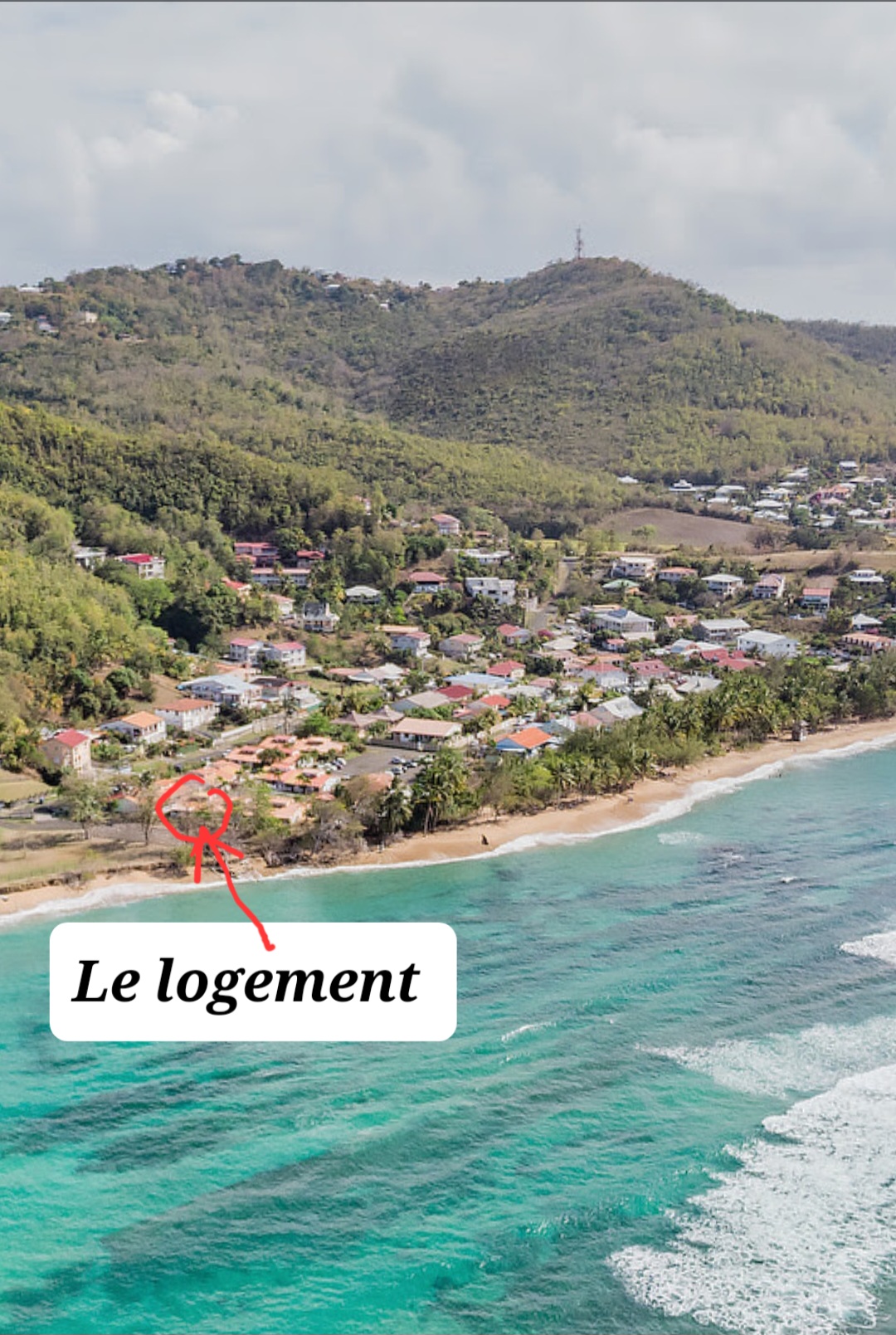 Belle Martinique