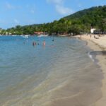 Belle Martinique