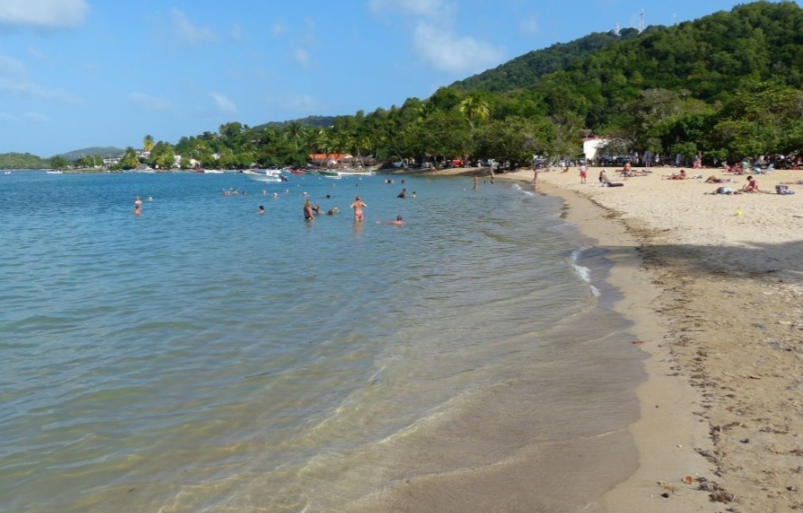 Belle Martinique