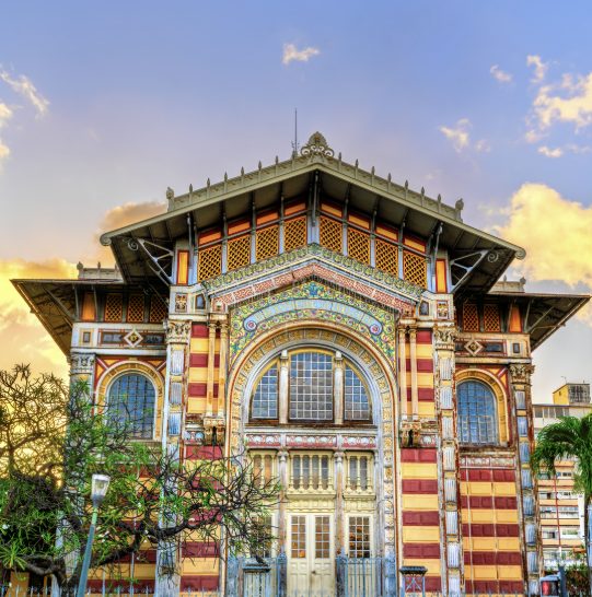 bibliothèque-schoelcher-edifice-lieu-a-visiter-fort-de-france-martinique